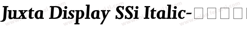 Juxta Display SSi Italic字体转换
